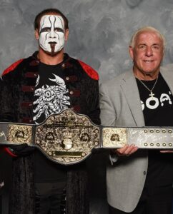 WWE Replica Title Belt