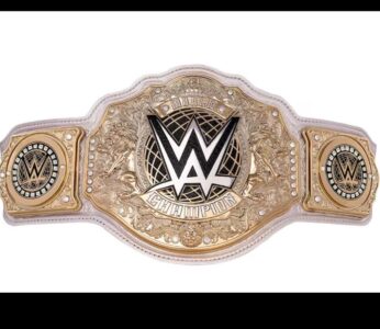 WWE Replica Title Belt